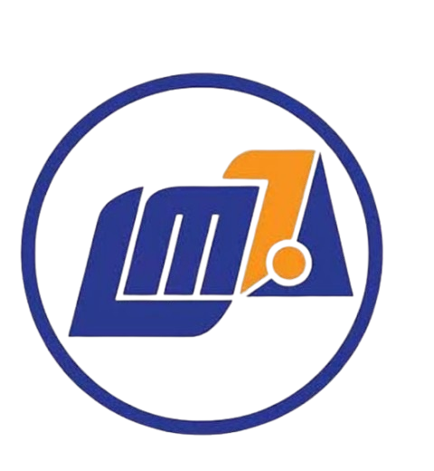 LM1-removebg-preview